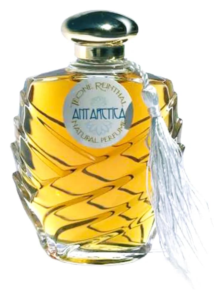 Antarctica thumbnail 2