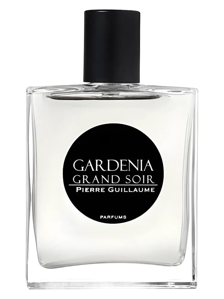 Gardenia Grand Soir thumbnail 4