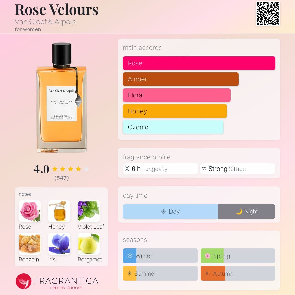 Profile card