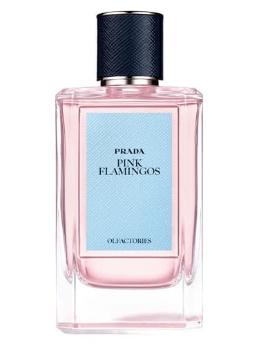 Primary bottle image