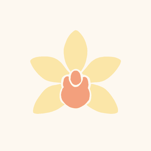 Vanilla Orchid